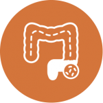 Colon Irritable Dr. Xavier Obando